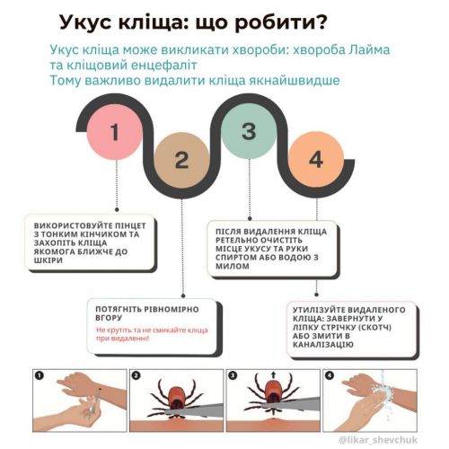 Как правильно вытащить клеща